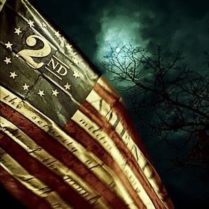 COPY - Flag Photo Art Decor by me SJaneDiana phot…
